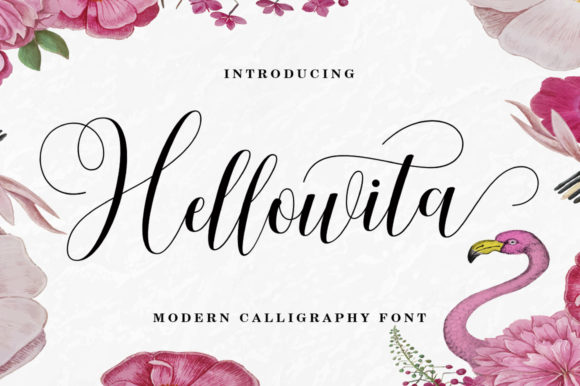 Download Hellowita - Premium Resources